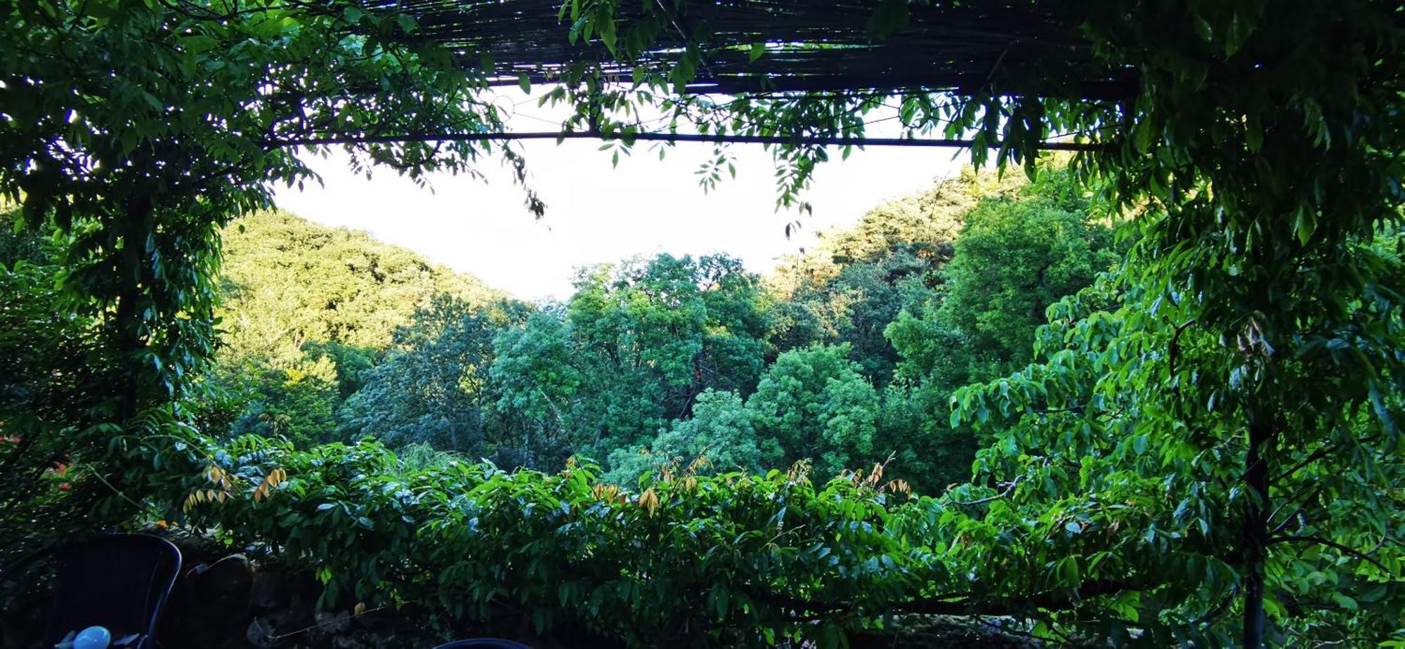 Ferme De Samson Villa แซงต์-เปเรย์ ภายนอก รูปภาพ